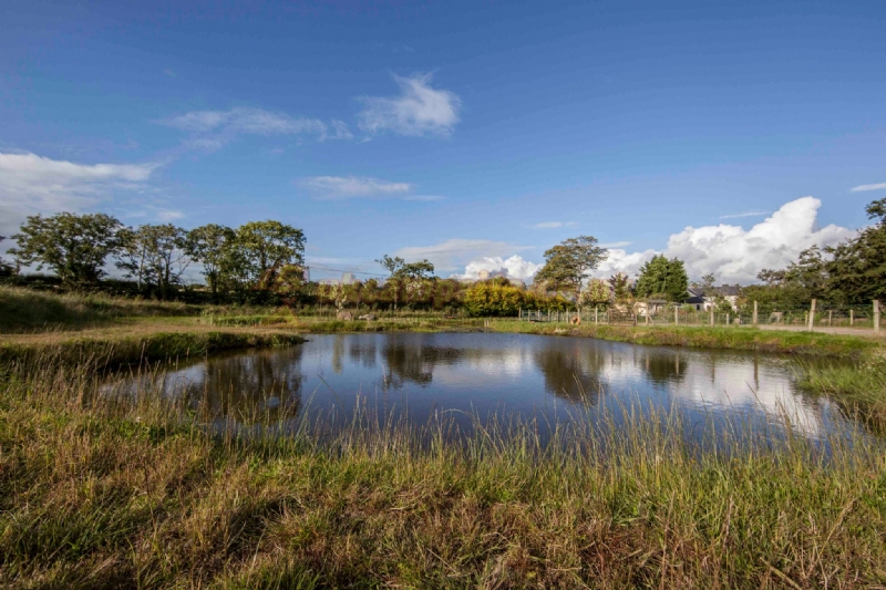 Llwyn Ffynnon Caravan Park