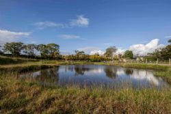 Llwyn Ffynnon Caravan Park