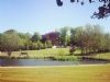 Hales Hall Caravan And Camping Park