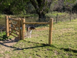 Fosfelle Country House Certificated Location