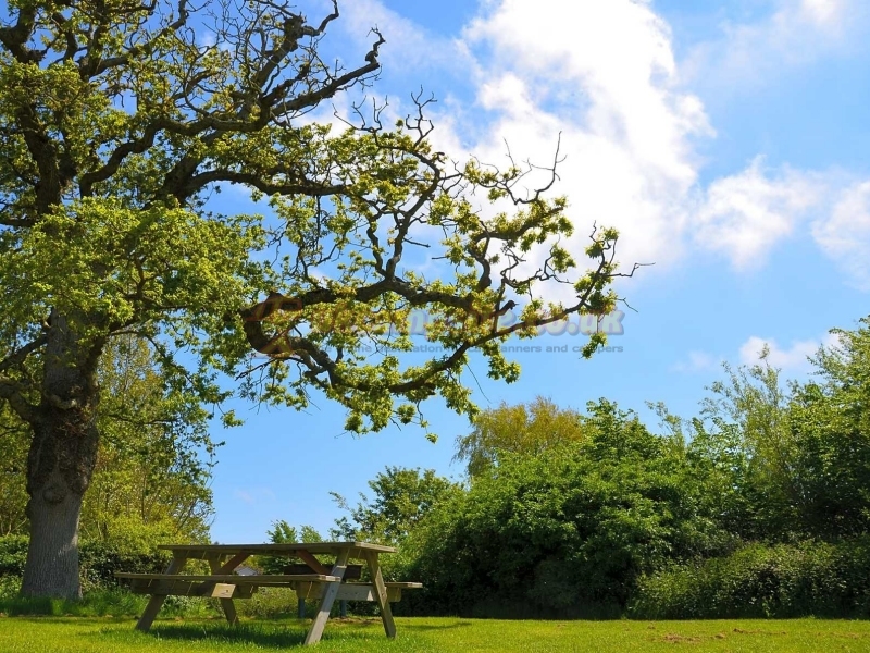 Heathfield Farm Camping