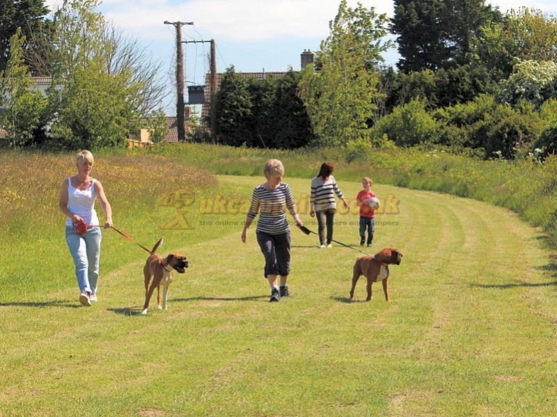 Heathfield Farm Camping