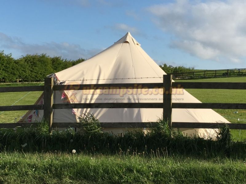 The Paddock Campsite Camping And Glamping
