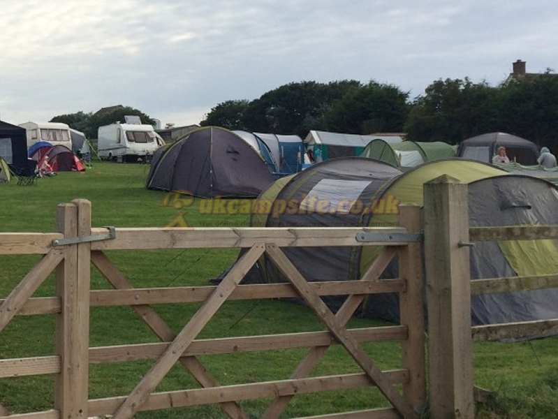 The Paddock Campsite Camping And Glamping