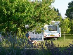 Camping Le Verger