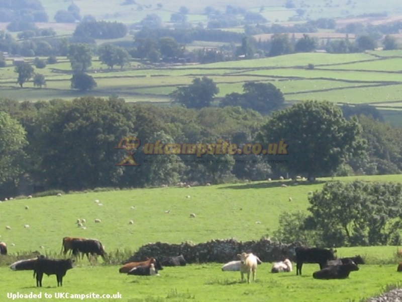 High Lane Farm Campsite
