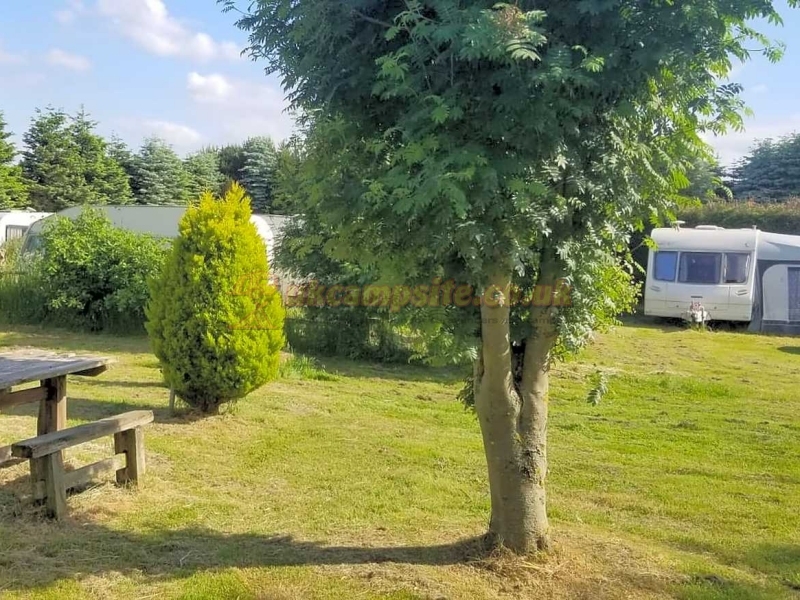 Dobella Lane Farm Certificated Site
