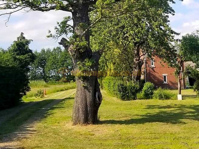 Dobella Lane Farm Certificated Site