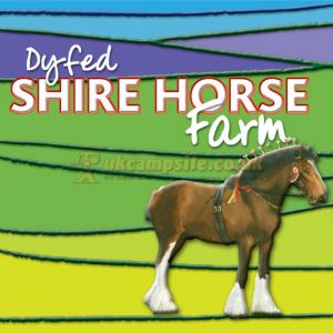 Dyfed Shire Horse Farm Certificated Site Dyfed Shire Horse Farm Certificated Site