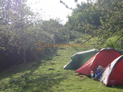 Ball Hill Farm Campsite