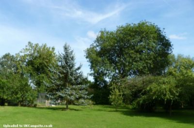 The Cottage Certificated Site