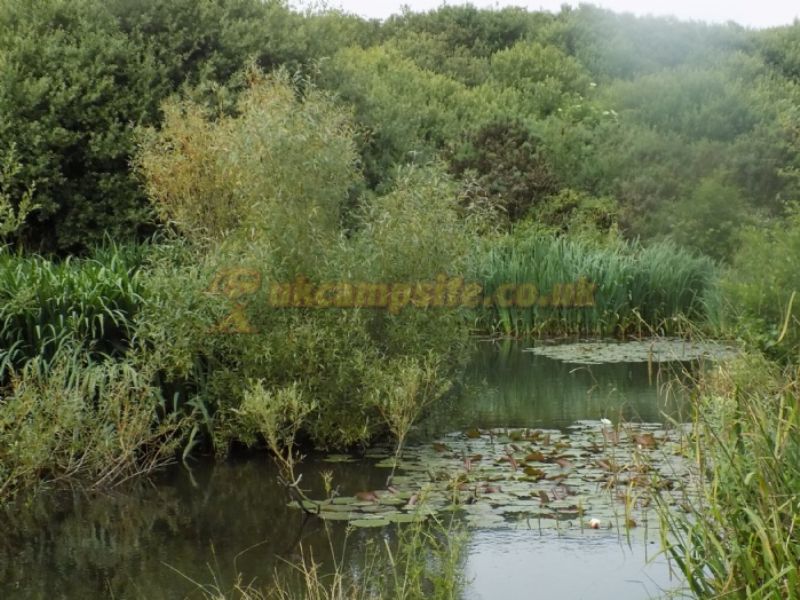 Lakewell Touring And Camping Park