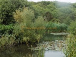 Lakewell Touring And Camping Park