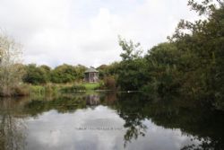 Lakewell Touring And Camping Park