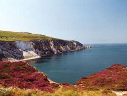Landguard Holiday Park - Parkdean Resorts