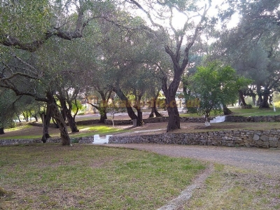 Dionysus Camping Village