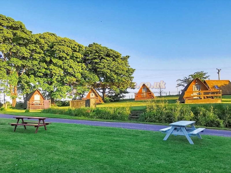 The Loft Camping And Wigwams