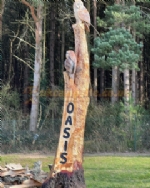 Oasis Lakes And Holidays Caravan Site