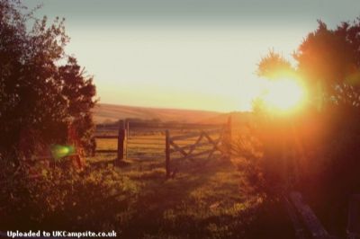Koa Tree Camp ( Hollacombe Farm)
