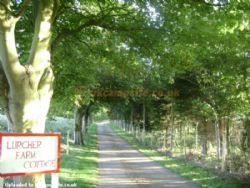 Lurcher Farm Cottage Camping And Caravanning Site