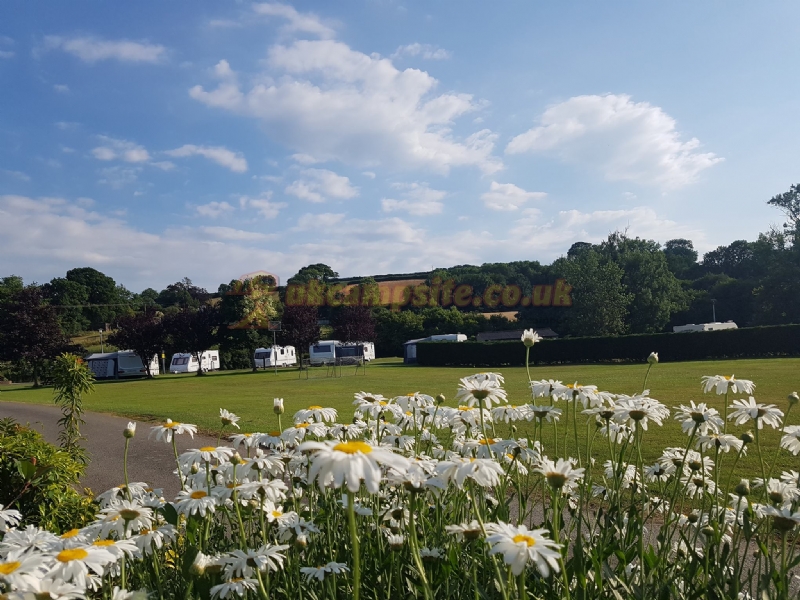 Afon Teifi Caravan And Camping Park