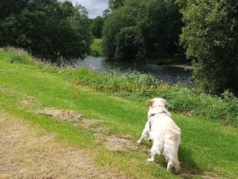 Afon Teifi Caravan And Camping Park