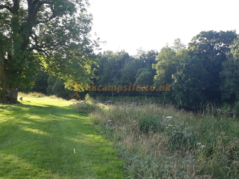 Afon Teifi Caravan And Camping Park
