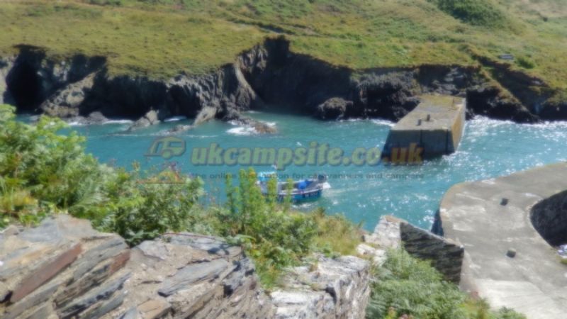 Druidston Home Farm Certificated Site