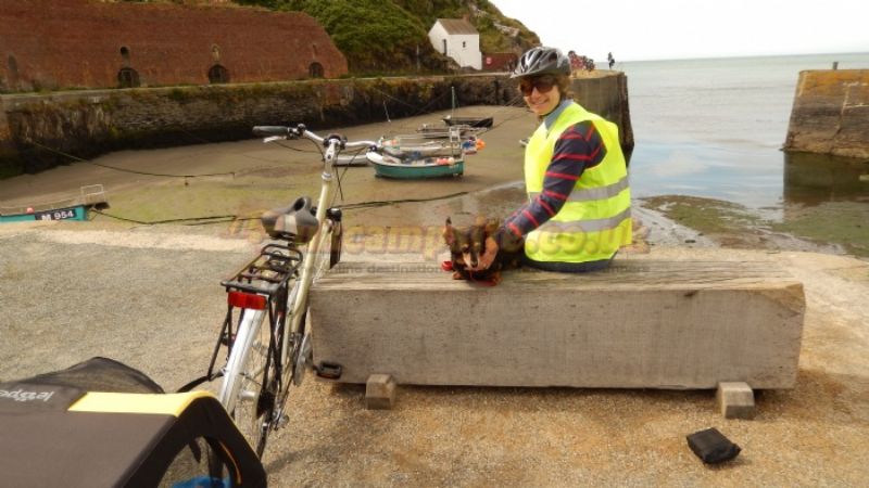 Druidston Home Farm Certificated Site