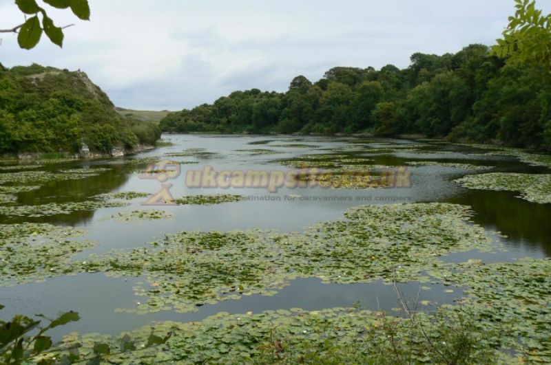 Druidston Home Farm Certificated Site
