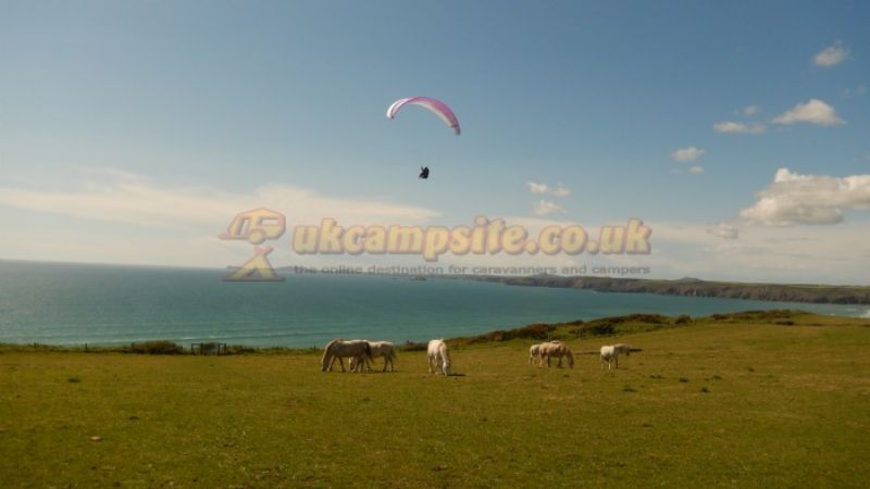 Druidston Home Farm Certificated Site