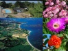 Camping De Port La Chaine Camping De Port La Chaine