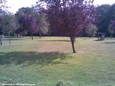 Woodland View Touring Park
