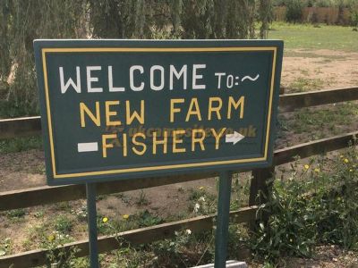 New Farm Fisheries