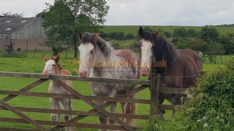 Croft Ends Farm Certificated Location