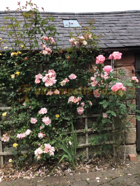 Croft Ends Farm Certificated Location