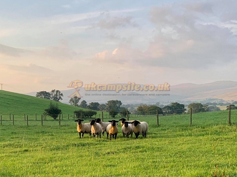 Croft Ends Farm Certificated Location
