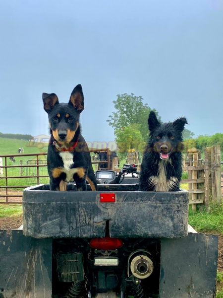 Croft Ends Farm Certificated Location