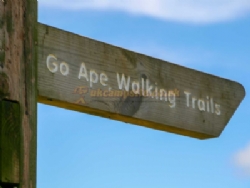 Glentress Forest Lodges And Campsite