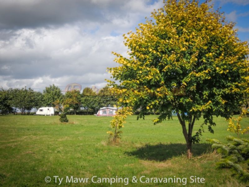 Ty Mawr Certificated Site
