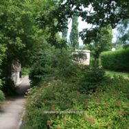 Camping Les Rochers Des Parcs