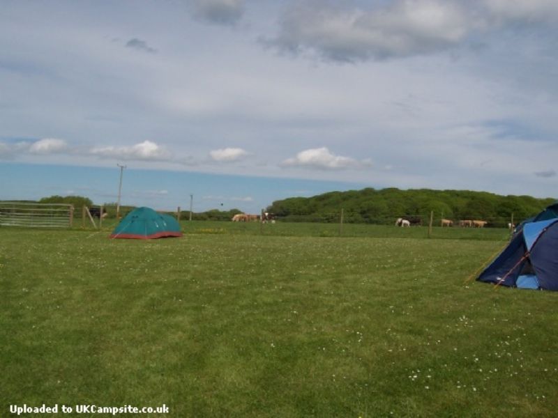 St Petrox Campsite