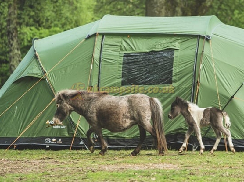 Hollands Wood Camping In The New Forest