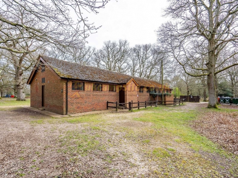 Hollands Wood Camping In The New Forest