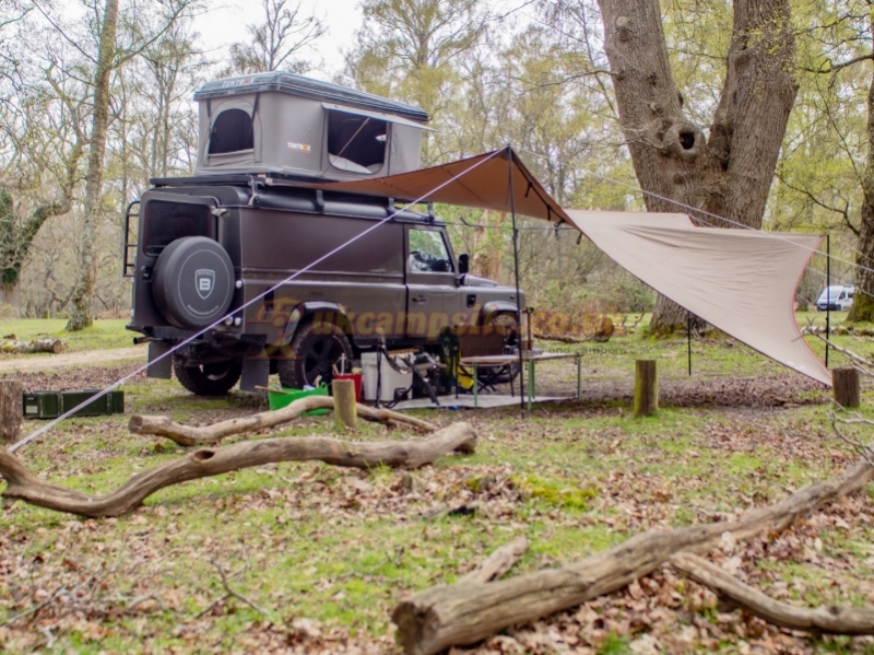 Hollands Wood Camping In The New Forest