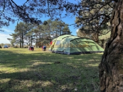 Roundhill Camping In The New Forest