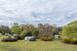 Roundhill Camping In The New Forest