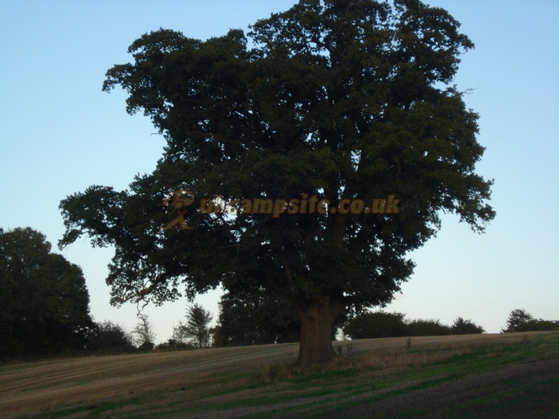 Suddene Park Farm Campsite