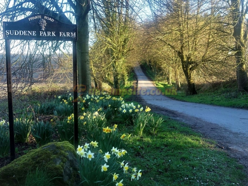 Suddene Park Farm Campsite