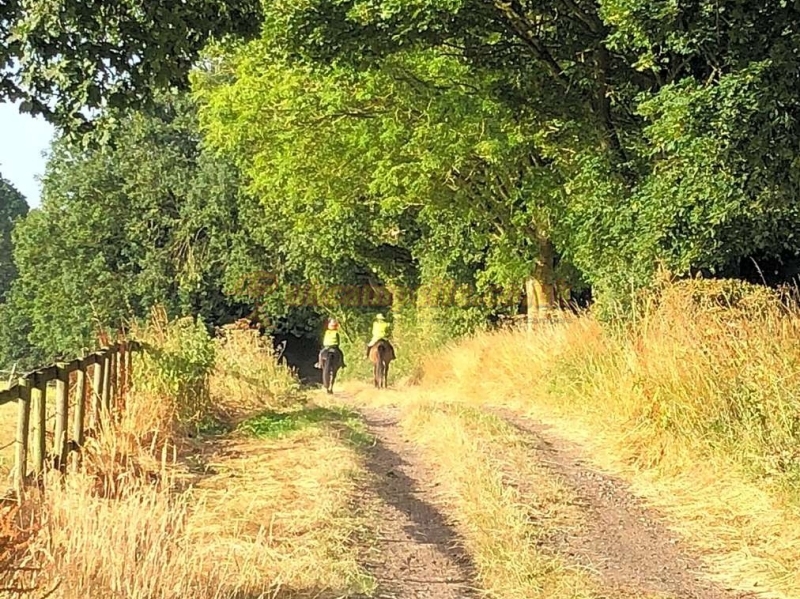 Suddene Park Farm Campsite